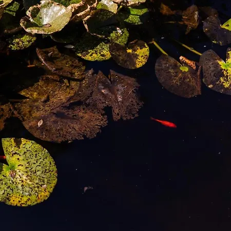 Prázdninový dům Hoch Ueber Dem Taubertal Mit Fantastischem Weitblick, Dachterrasse, 2000m2 Grossem Grundstueck Und Kamin