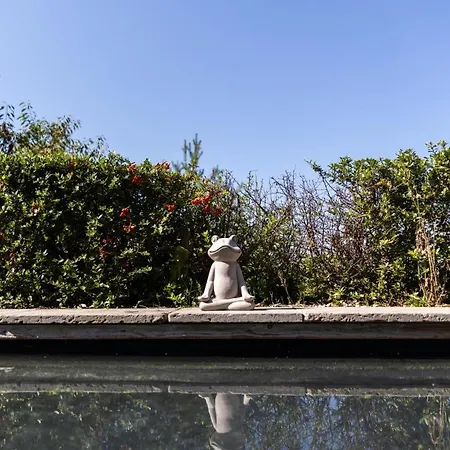 Prázdninový dům Hoch Ueber Dem Taubertal Mit Fantastischem Weitblick, Dachterrasse, 2000m2 Grossem Grundstueck Und Kamin