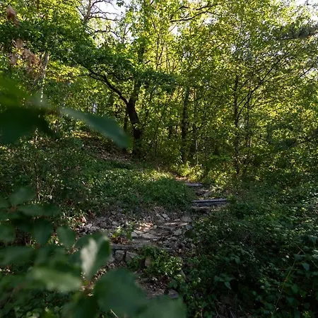 Prázdninový dům Hoch Ueber Dem Taubertal Mit Fantastischem Weitblick, Dachterrasse, 2000m2 Grossem Grundstueck Und Kamin *