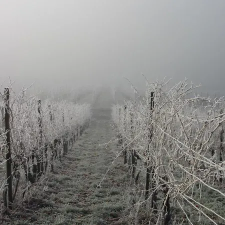 Prázdninový dům Hoch Ueber Dem Taubertal Mit Fantastischem Weitblick, Dachterrasse, 2000m2 Grossem Grundstueck Und Kamin Lauda-Königshofen