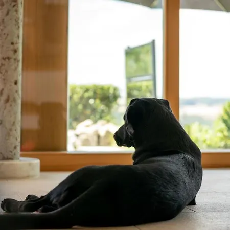 Hoch Ueber Dem Taubertal Mit Fantastischem Weitblick, Dachterrasse, 2000m2 Grossem Grundstueck Und Kamin