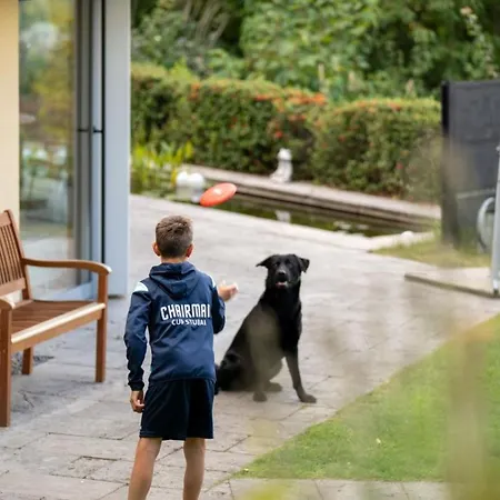 Hoch Ueber Dem Taubertal Mit Fantastischem Weitblick, Dachterrasse, 2000m2 Grossem Grundstueck Und Kamin *