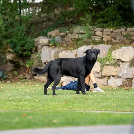 Hoch Ueber Dem Taubertal Mit Fantastischem Weitblick, Dachterrasse, 2000m2 Grossem Grundstueck Und Kamin * Lauda-Königshofen