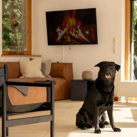 Prázdninový dům Hoch Ueber Dem Taubertal Mit Fantastischem Weitblick, Dachterrasse, 2000m2 Grossem Grundstueck Und Kamin